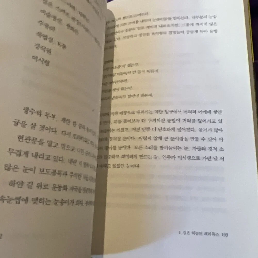 The Wind is Blowing By Han Kang Novel 바람이 분다, 가라 한강 Nobel Prize 2024 Korean 한국어